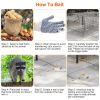 Humane Cat Trap Cage Catch Release Live Animal Rodent Cage Collapsible Galvanized Wire for Raccoons Beavers Groundhogs Foxes Armadillos